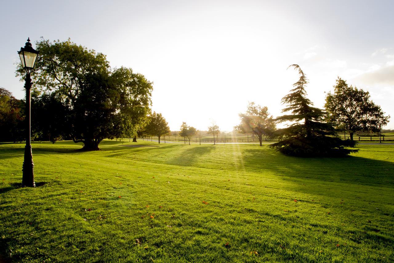Moyvalley Hotel Self Catering Cottages Eksteriør bilde